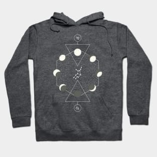 Virgo horoscope sign Hoodie